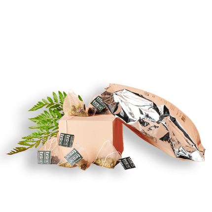 Tease | Wellness Tea Blends + Accessories - Focus & Flow Adaptogen Ginseng + Ginkgo Superfood Tea Refill - Home & Well