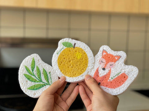 Plantish - Set of 3 Bestselling Pop up Sponge