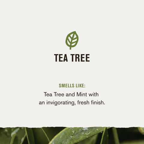 EVERY MAN JACK 2-in-1 Thickening Shampoo Tea Tree - Home & Well