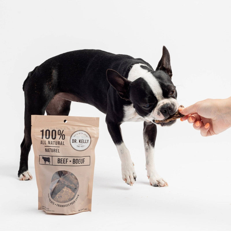 Silver Paw - Dr. Kelly The Vet 100% Natural Dog Treats - Beef - Home & Well 