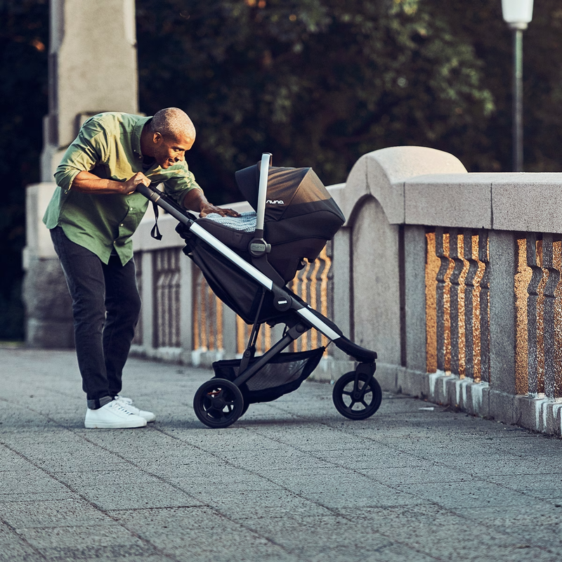 Thule Spring Stroller