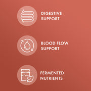 Biodynamic® Organic Fermented Cinnamon - Home & Well 