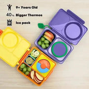 OmieLife - OmieBox UP: Galaxy Purple - Home & Well