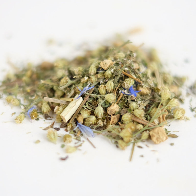 WOUNDED HEALER // lemon balm + ginger + yarrow