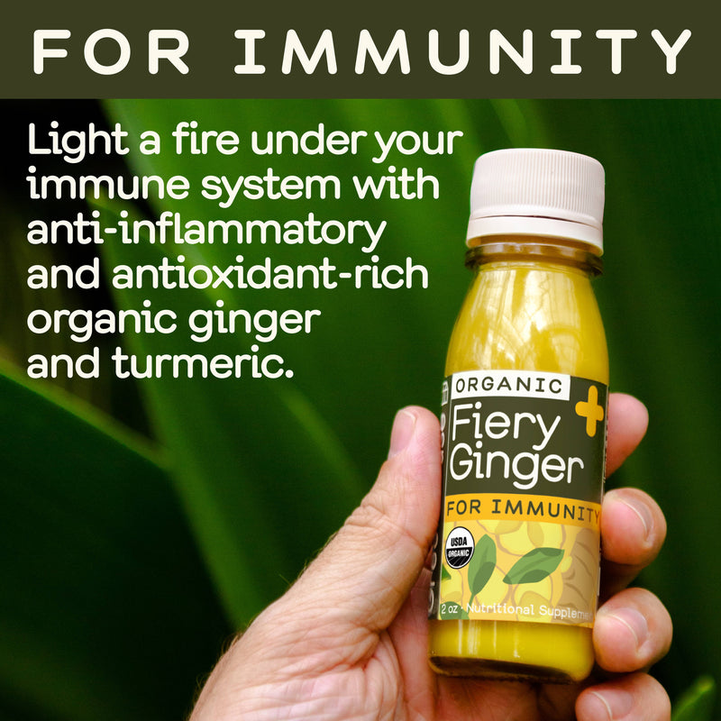 Greenhouse - Greenhouse Fiery Ginger Wellness Shot for Immunity - Home & Well 