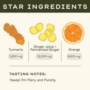 Greenhouse - Greenhouse Fiery Ginger Wellness Shot for Immunity - Home & Well 