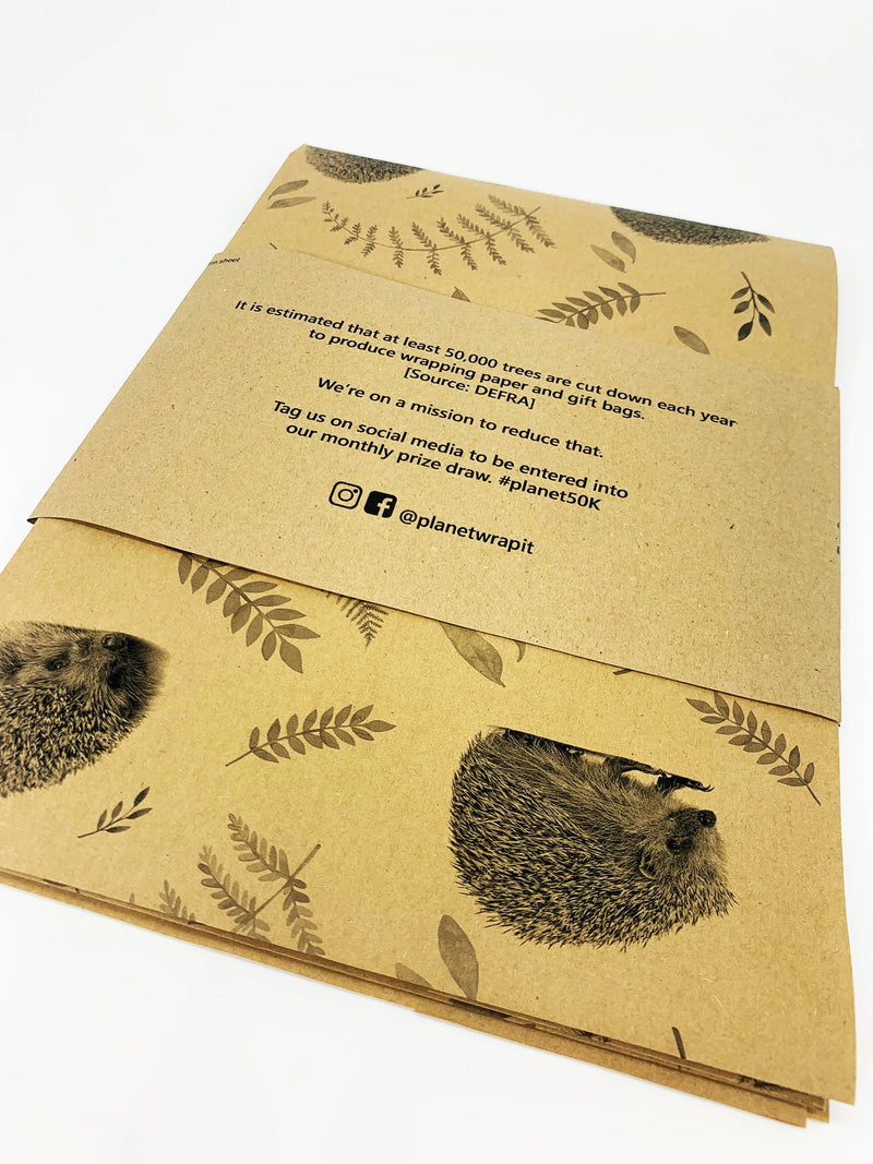 PlanetWrapIt - Hedgehogs Recycled Eco Kraft Wrapping Paper - Home & Well 