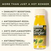 Greenhouse - Greenhouse Fiery Ginger Wellness Shot for Immunity - Home & Well 