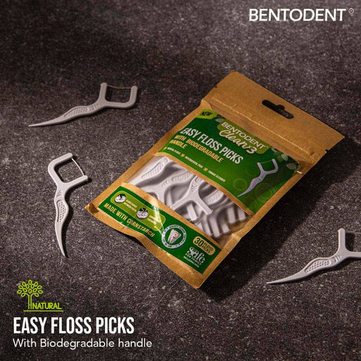 Biodegradable Dental Floss Picks - Home & Well 