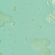 Three Ships - Fresh Start Lime Pearl + Prickly Pear 5% PHA Toner - Home & Well