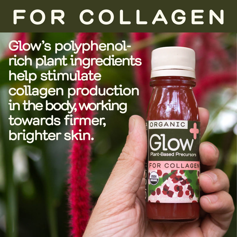 Greenhouse Glow Wellness Shot - Home & Well 
