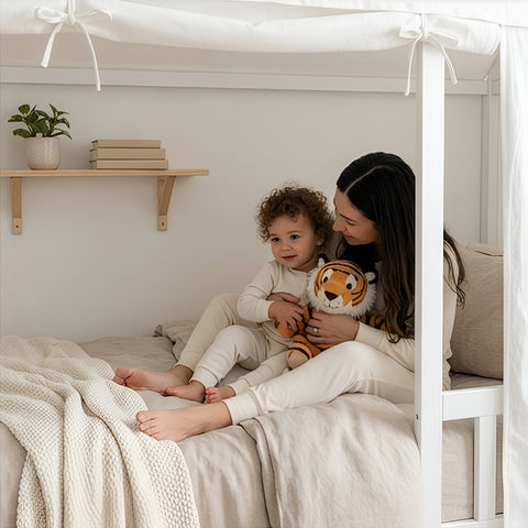 ARY House Bed Canopy