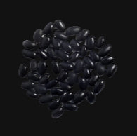 Aztec Bush Bean