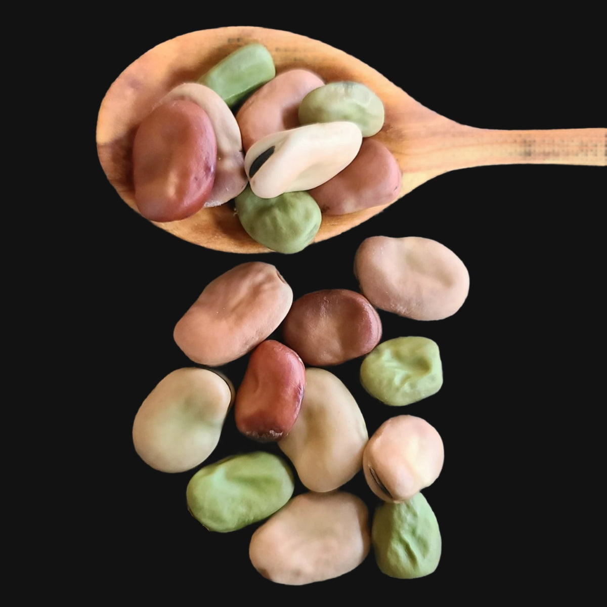 Broad Bean Mix — Home & Well