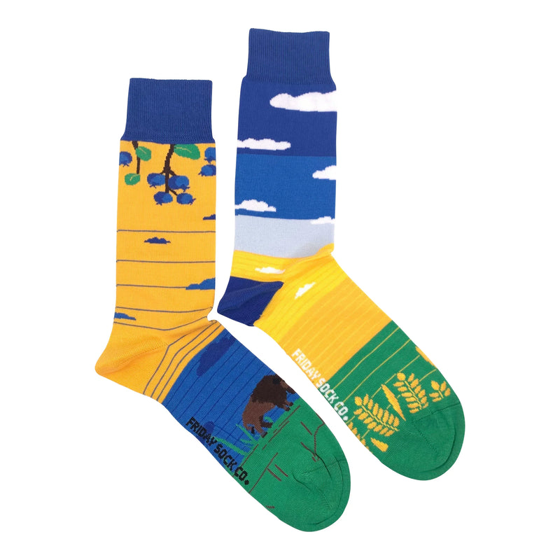 Friday Sock Co Men's Prairie Canadian Landscape Socks