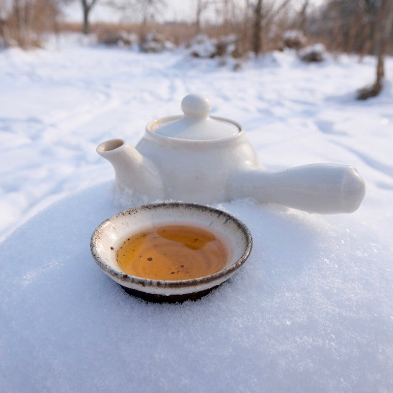 SNOW CHRYSANTHEMUM TEA