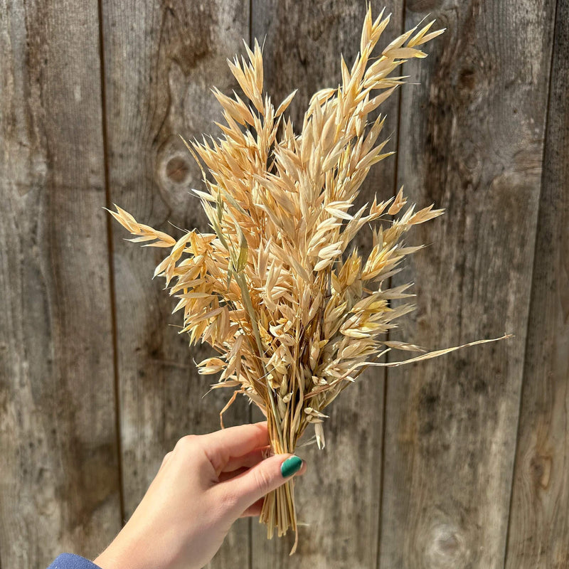 Hulless Oats Spray