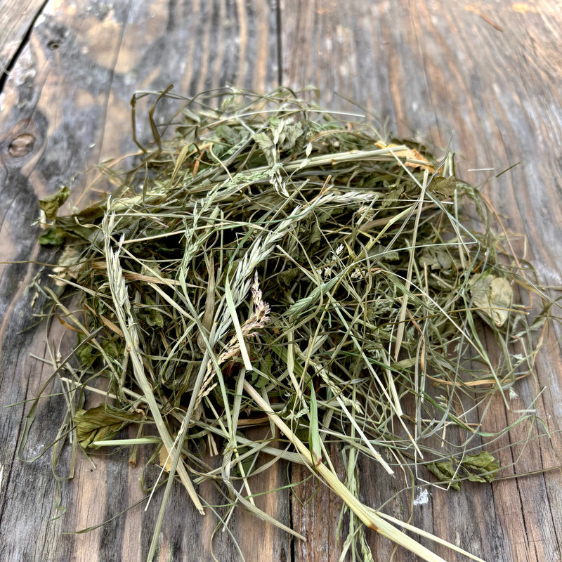 Meadow Foraging Mix