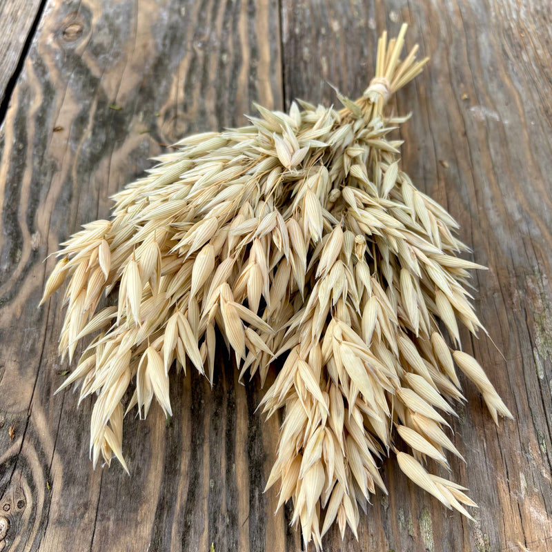 Hulless Oats Spray