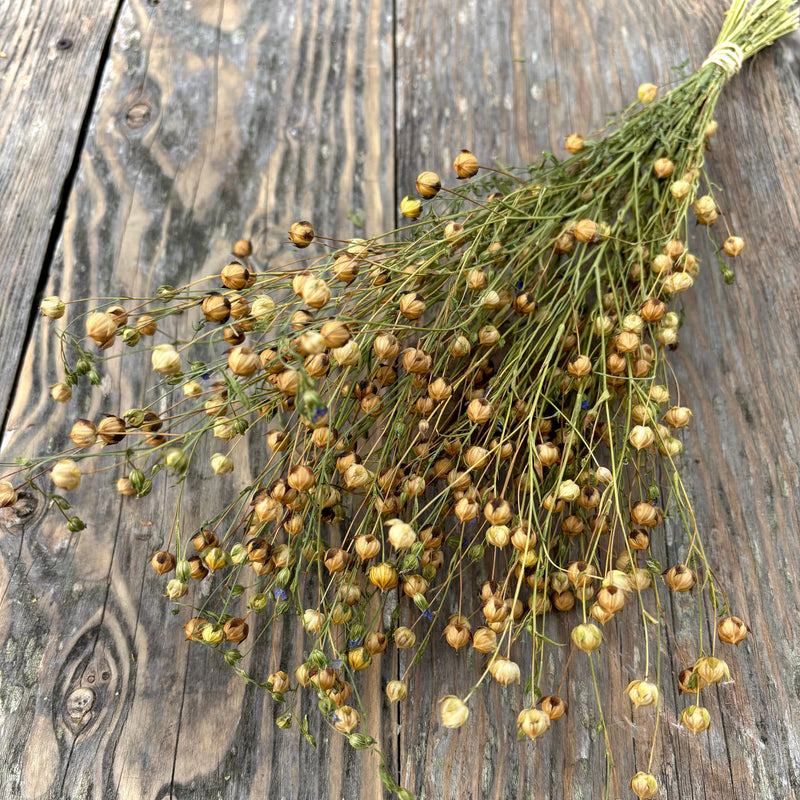 Flax Spray