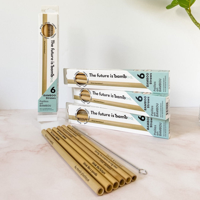 Bamboo Straws 6-Pack - INNER 6