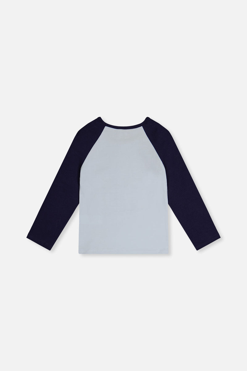 Raglan Organic Cotton T-Shirt Dark And Pale Blue