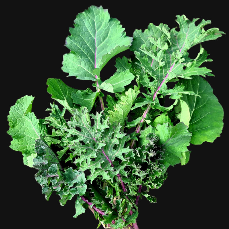 Kale Mix