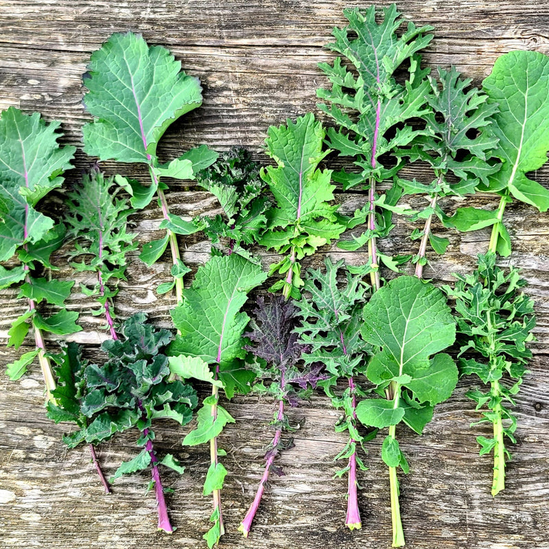 Kale Mix