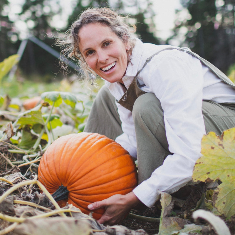 Howden Pumpkin