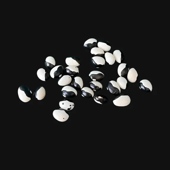 Orca Bush Bean