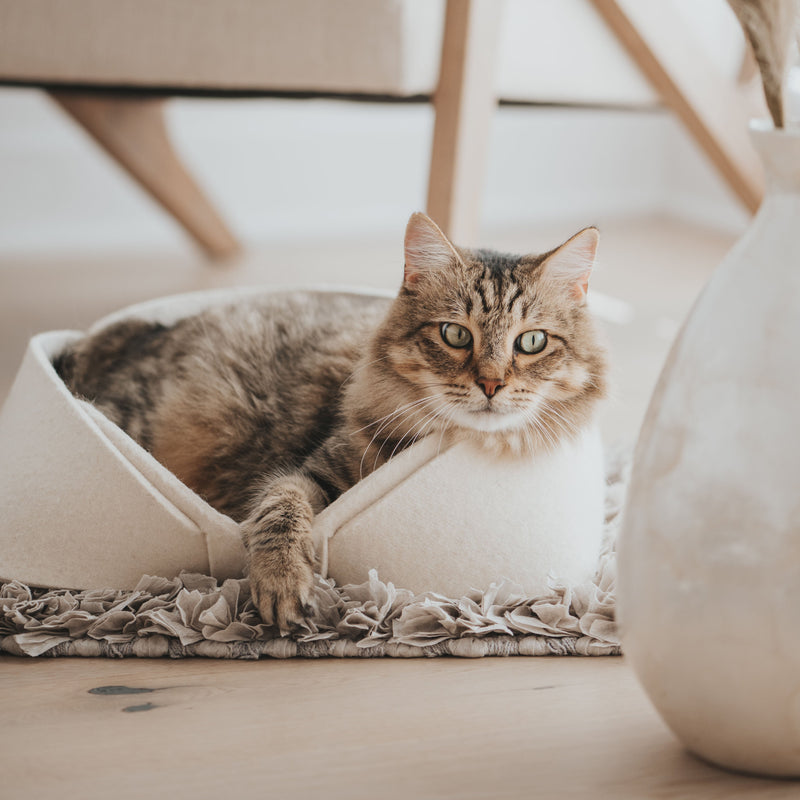 Panier pour animaux en feutre de laine 14x12  | MATT™