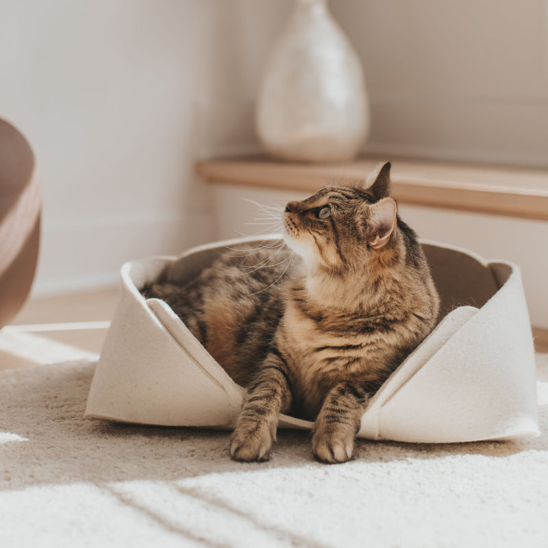 Panier pour animaux en feutre de laine 17x13  | MATT™