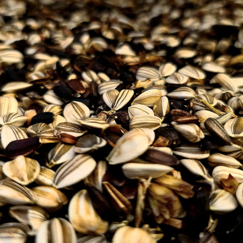 Sunflower Mix