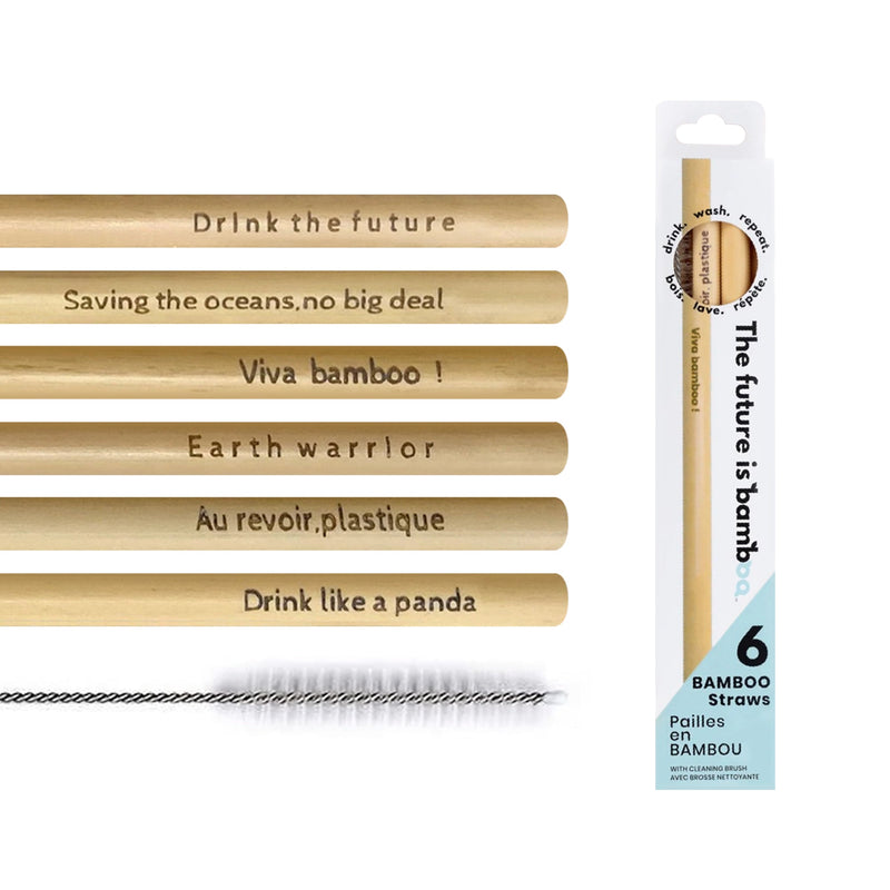 Bamboo Straws 6-Pack - INNER 6