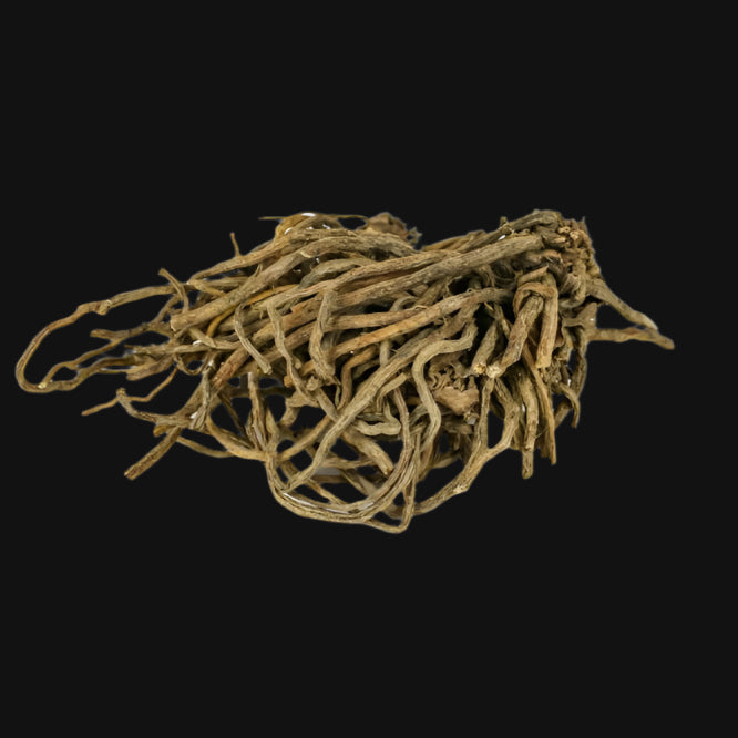 Valerian Rootstock
