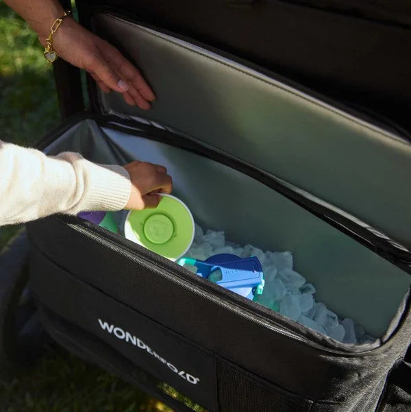 Wonderfold W4 Luxe Pro Quad Stroller Wagon