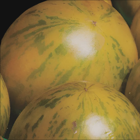 Yellow Zebra Tomato
