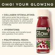 Greenhouse Glow Wellness Shot - Home & Well 