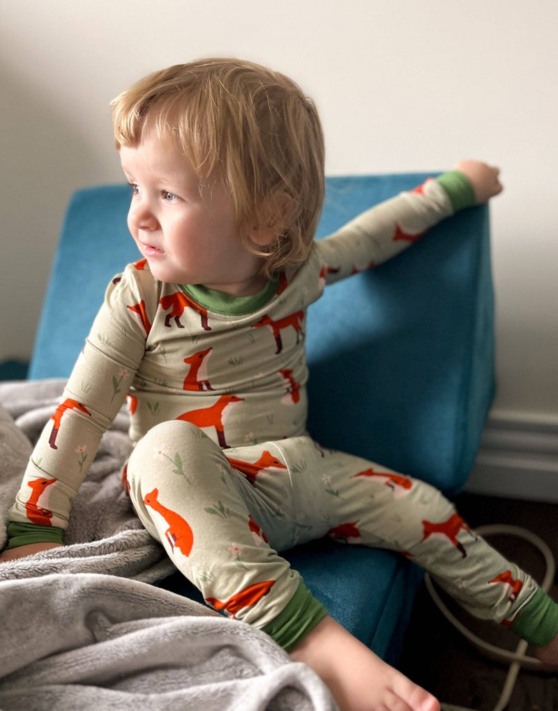 Stay Dreamy - Fox Bamboo Long Sleeve Toddler PJs - Home & Well