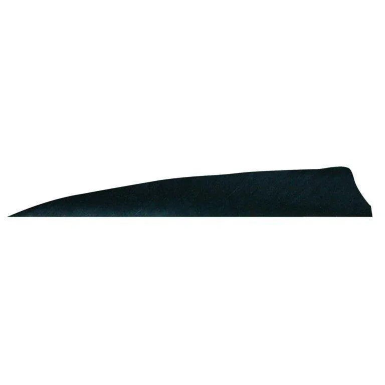 Badass Archery Right-Wing Shield Feathers - 36 Pack