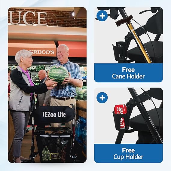 EZee Life Lightweight Steel Rollator   