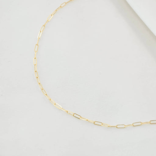 PETITE GOLD - Paperclip Chain - Home & Well 