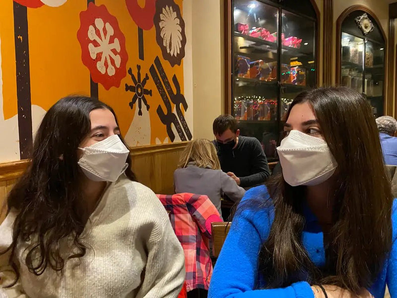 FN-N95-510 Respirator Mask - Box of 10