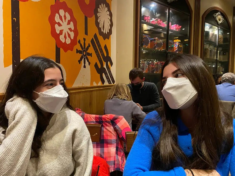 FN-N95-510 Respirator Mask - Box of 10