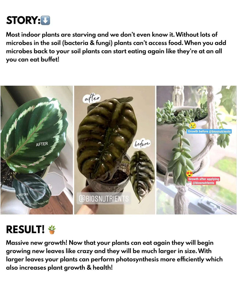 Bios Natural Plant Fertilizer
