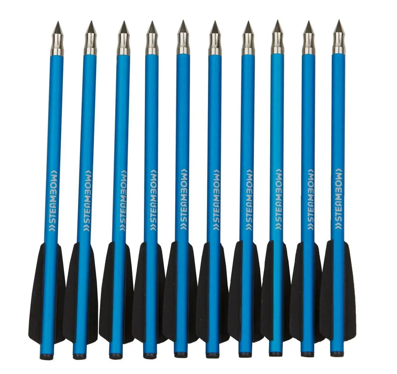 Steambow Archery AR-Series Target Arrows - 10 Pack